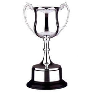 Dorohoienii particpă la concursuri şi câştigă premii