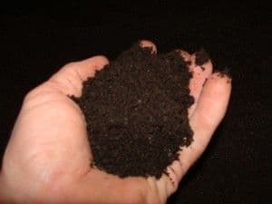 Nu arunca zatul de cafea - vezi la ce il poti folosi