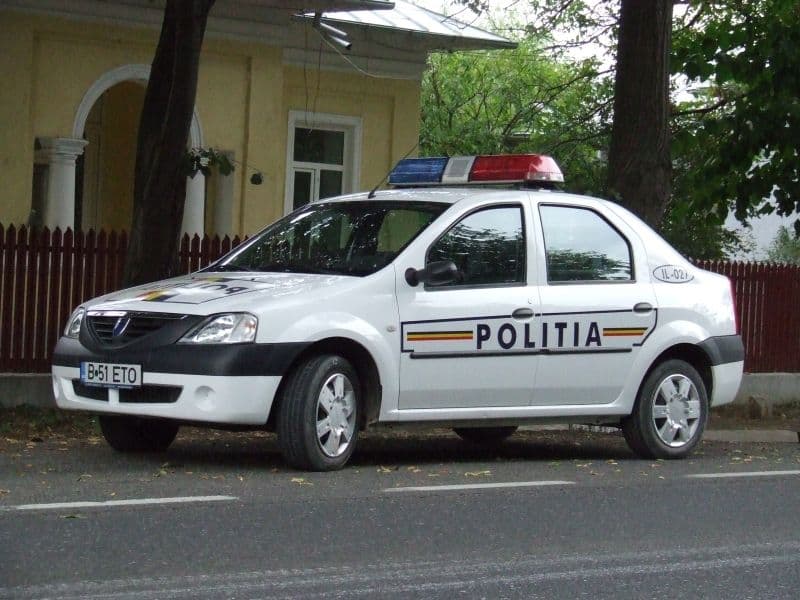 Hoț de animale depistat de poliţişti şi cercetat în stare de reţinere