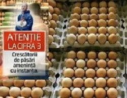 Ouale inscriptionate cu cifra 3 vor fi interzise - afla de ce