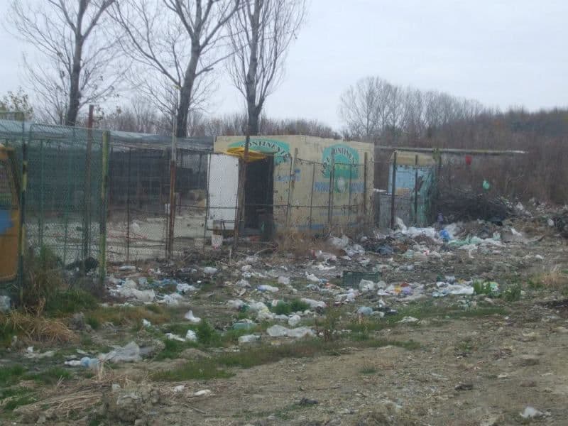Ador refuză să conducă un lagăr de exterminare dar acceptă să folosească noul padoc pentru sterilizări