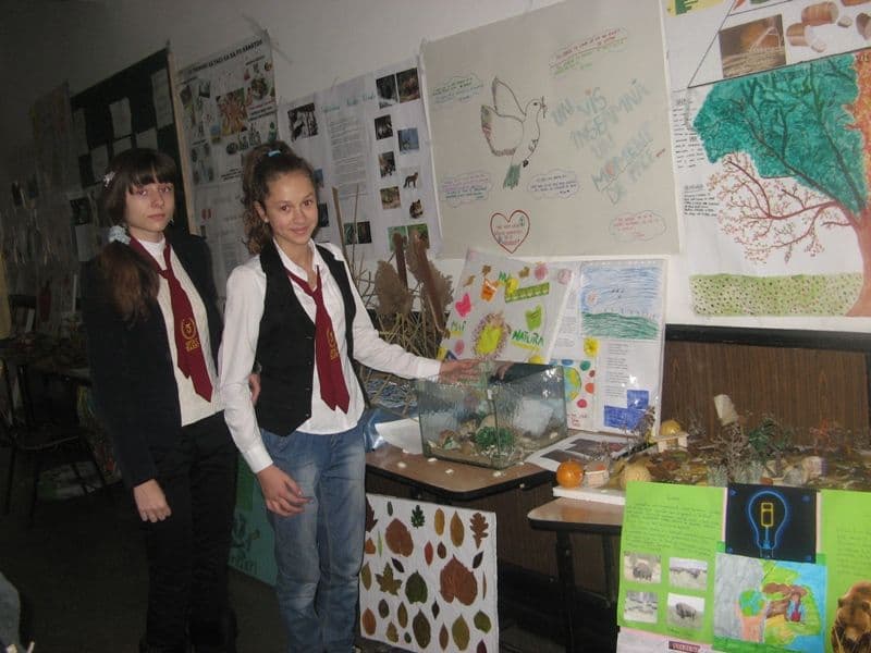 Săptămâna educației globale la Școala nr.5 „Spiru Haret”, Dorohoi
