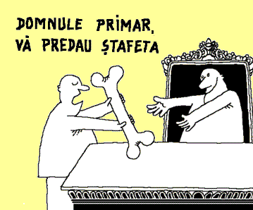 Primarii vor conduce ședințele consiliului local - au decis deputații juriști