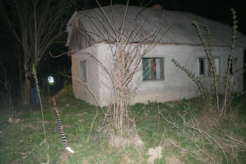 Tigari contrabanda (2)