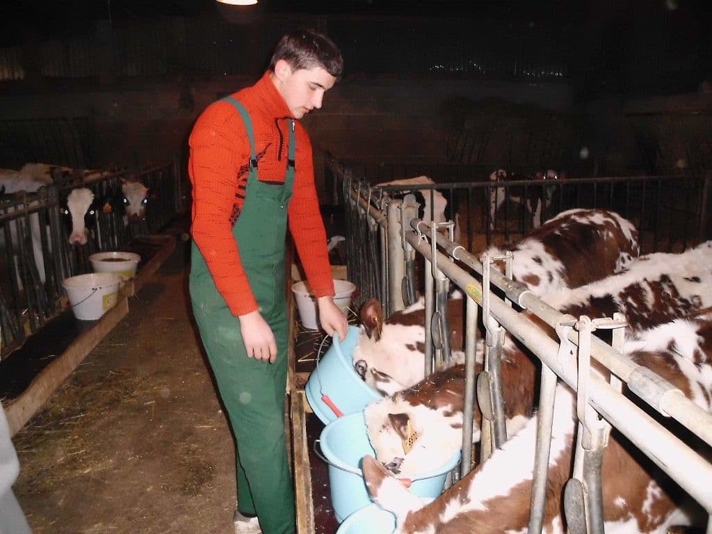 Elevul şi tranziţia de la şcoală la locul de muncă (4)
