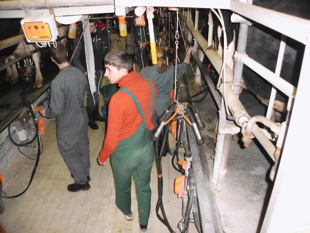 Elevul şi tranziţia de la şcoală la locul de muncă (5)