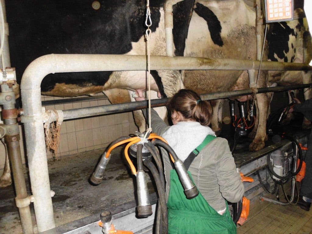 Elevul şi tranziţia de la şcoală la locul de muncă (6)