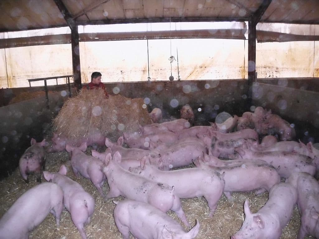 Elevul şi tranziţia de la şcoală la locul de muncă (8)