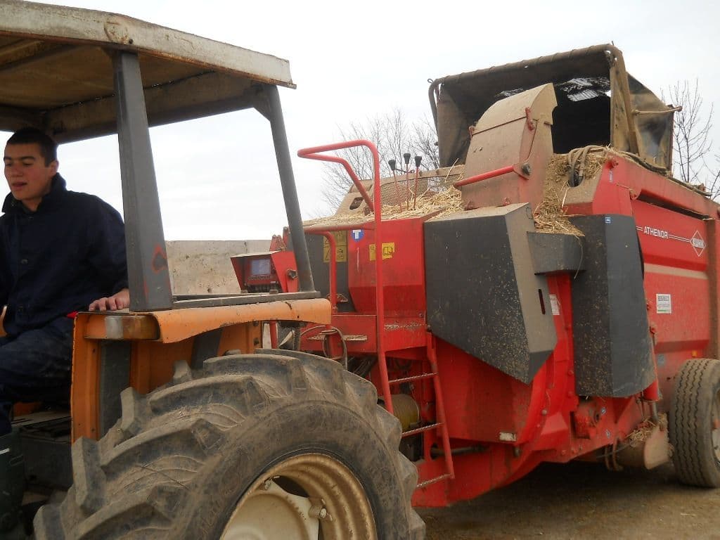 Elevul şi tranziţia de la şcoală la locul de muncă (9)