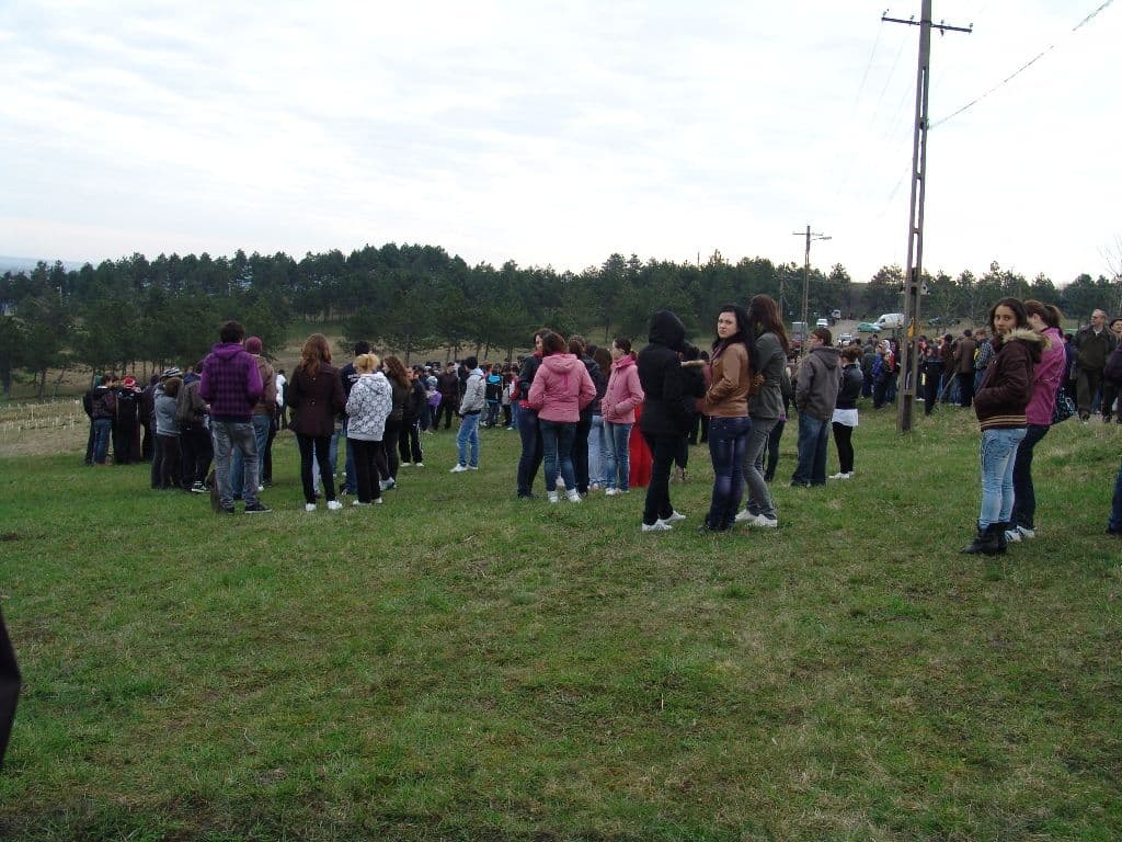 Romania prinde radacini (3)