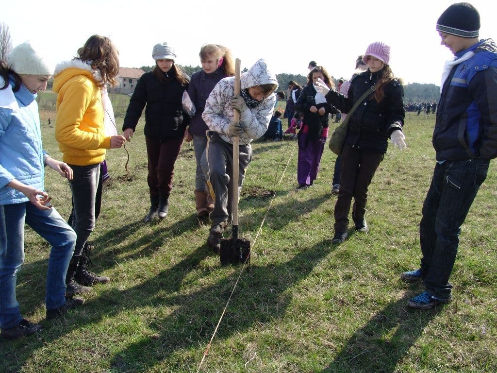 Romania prinde radacini (10)