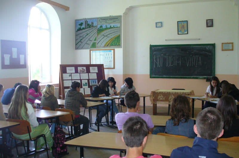 Al. Vlahuță Dorohoi (3)