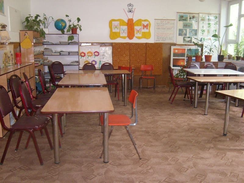 scoala 8 Dorohoi (10)
