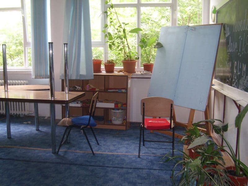 scoala 8 Dorohoi (12)