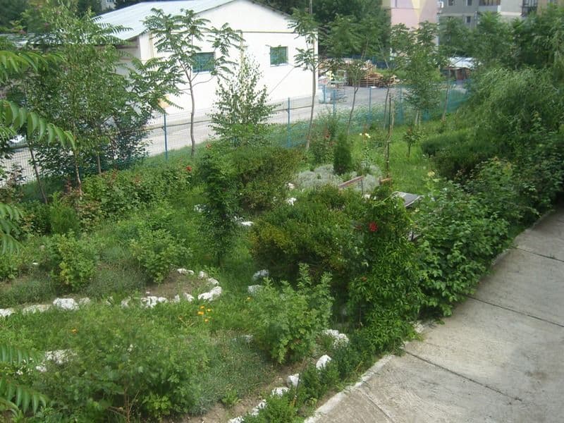 spatiu verde sc 8 (3)