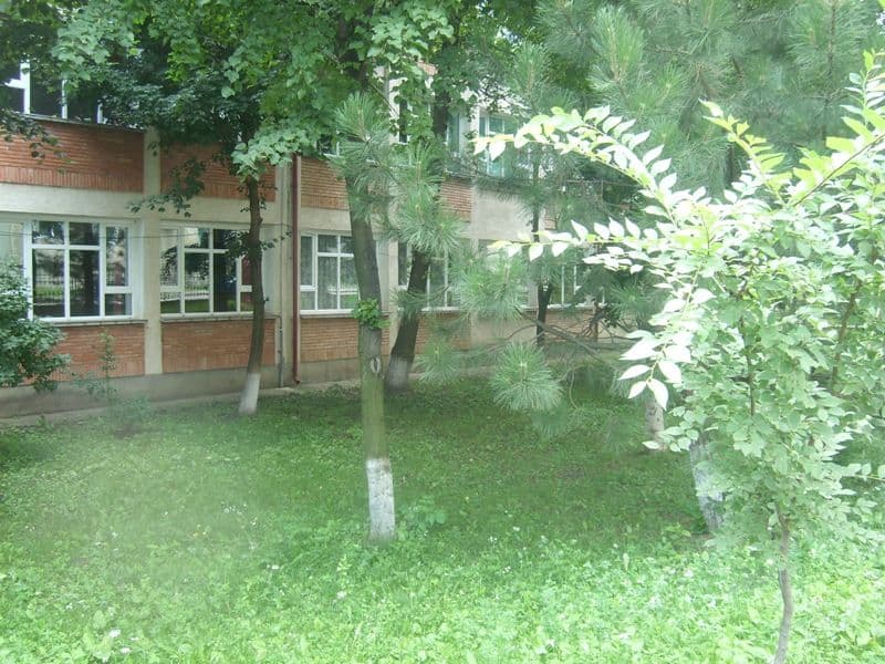 spatiu verde sc 8 (5)