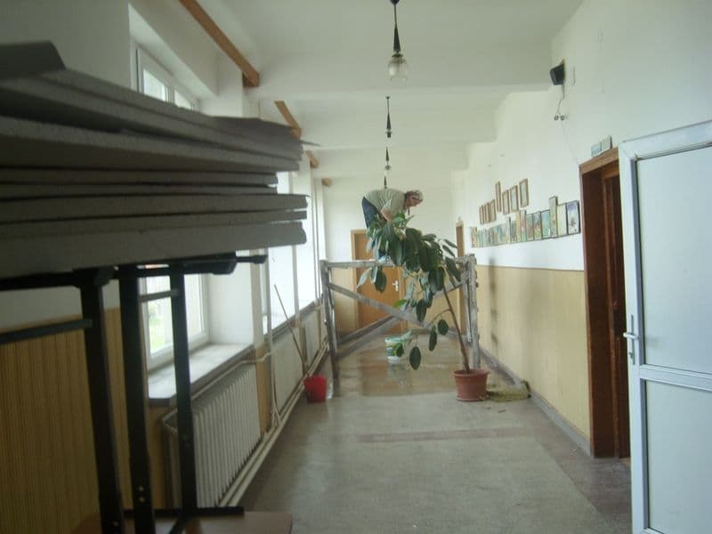 scoala 7 Dorohoi (6)