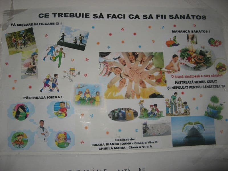 Scoala5Dorohoi (5)