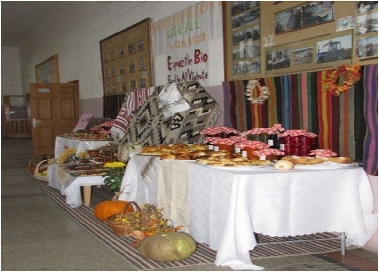 Expozitie3
