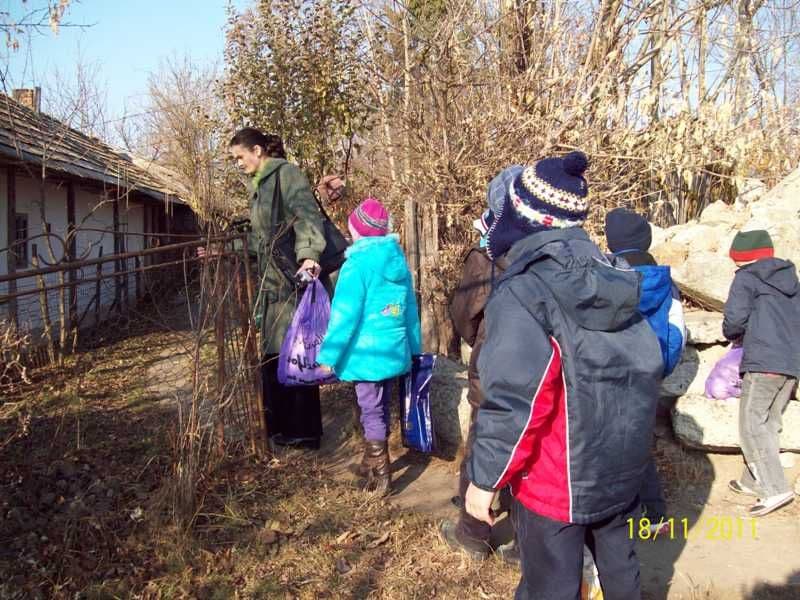scoala4Dorohoi (3)
