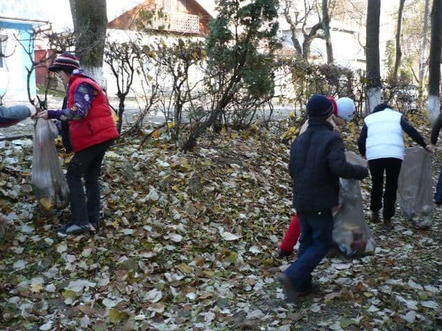 Ion Pillat Dorohoi (10)
