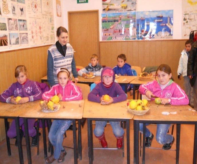 SEG - Varfu Campului2