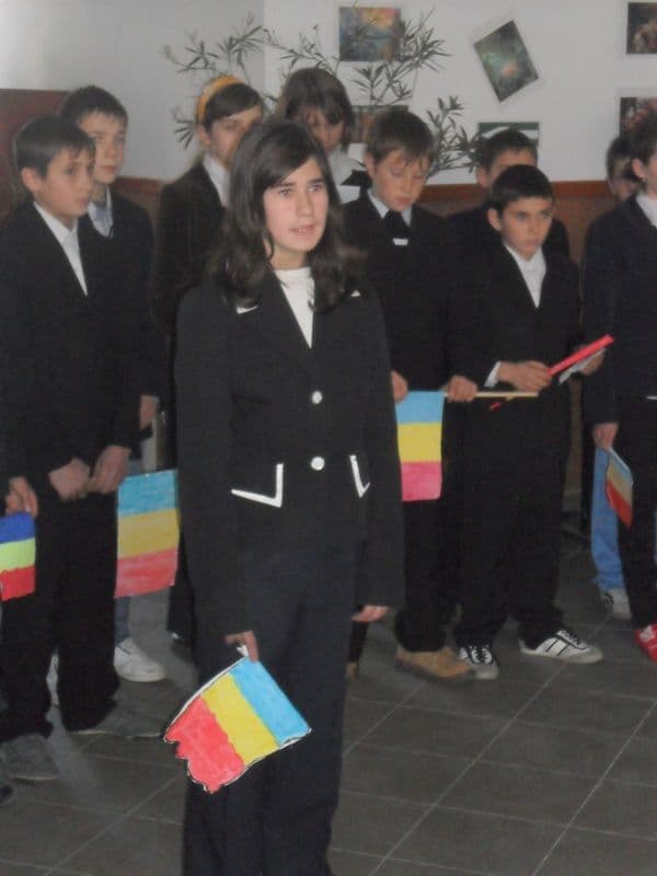 Dumbravita (13)