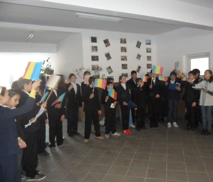Dumbravita (14)