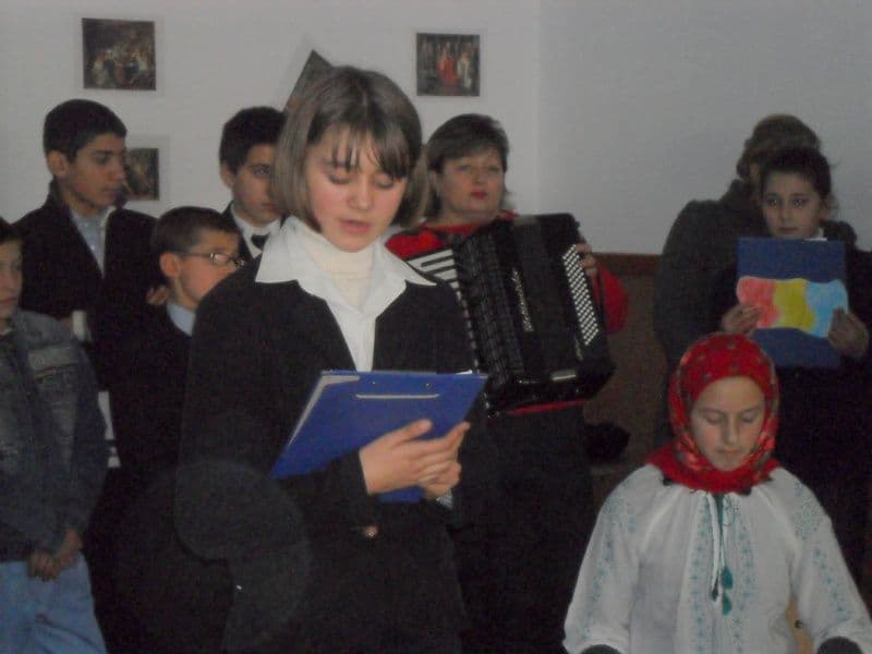 Dumbravita (15)