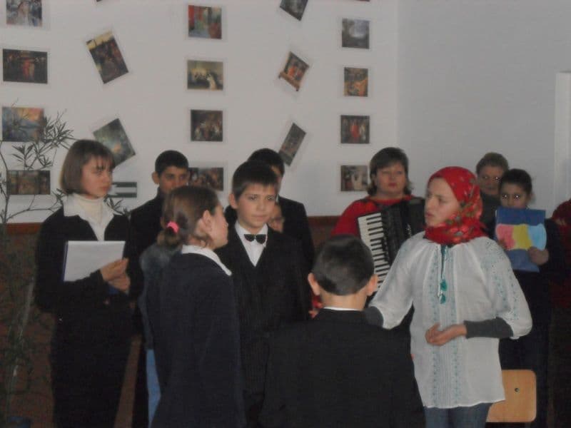 Dumbravita (16)