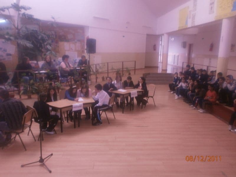 Scoala 2 Dorohoi (9)
