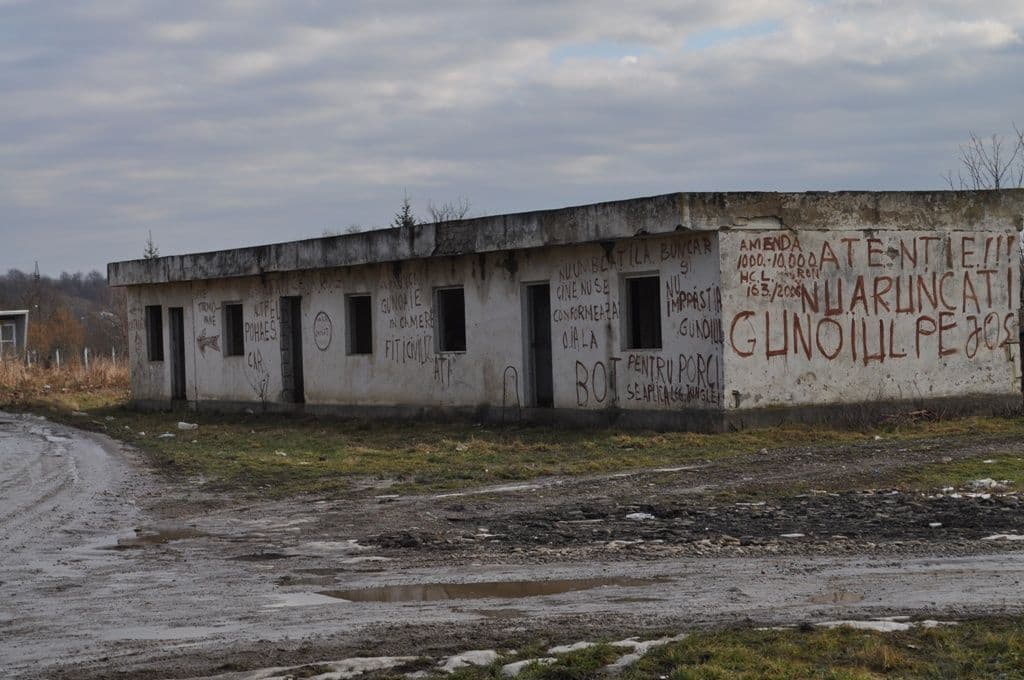 Dorohoi Ruina Stipo (2)