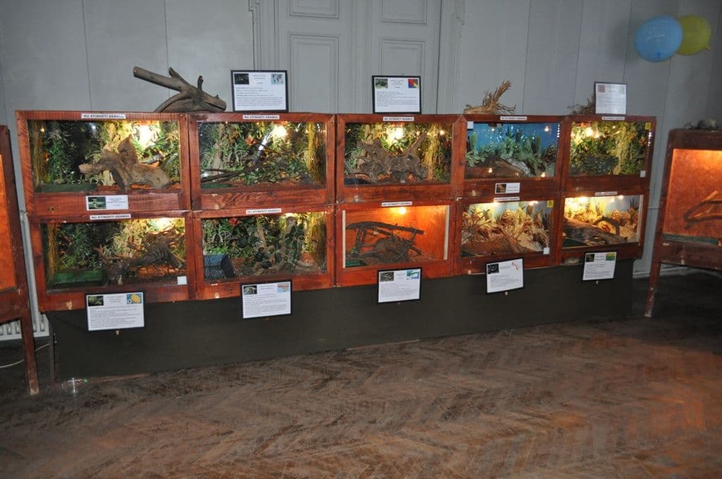 Expoziţie cu reptile vii Dorohoi (2)