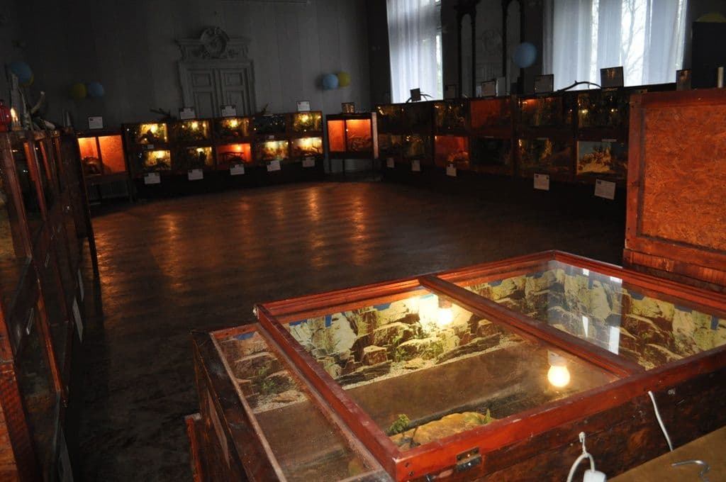 Expoziţie cu reptile vii Dorohoi (9)