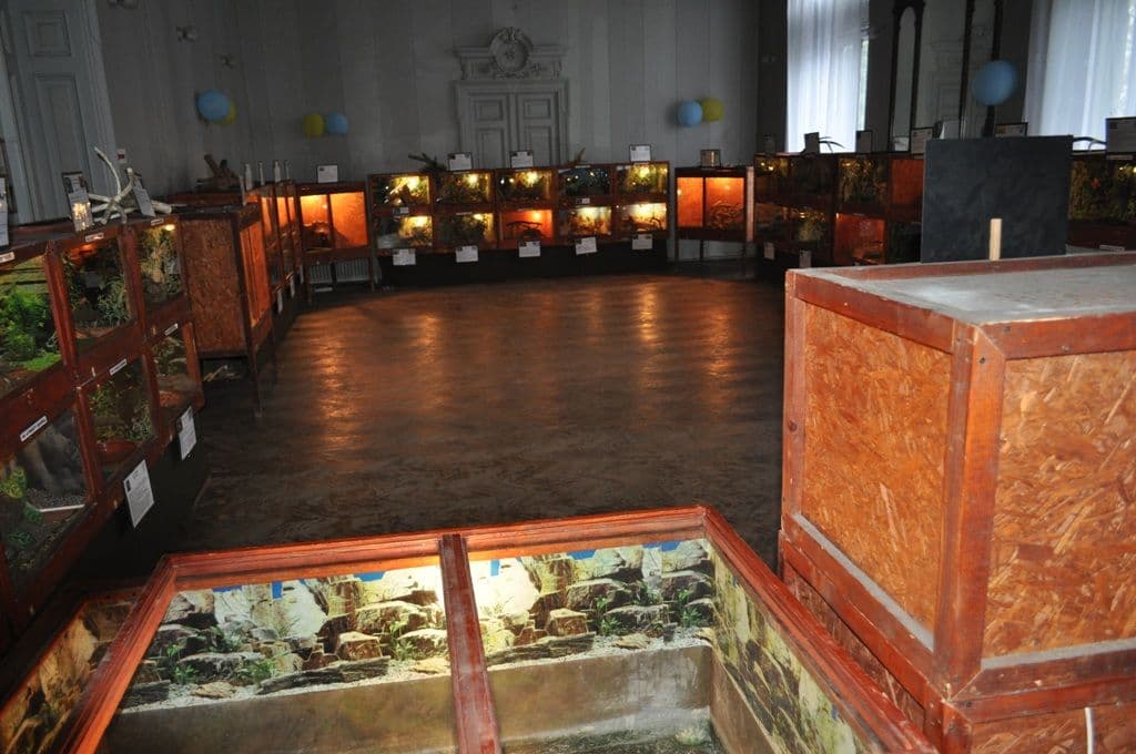 Expoziţie cu reptile vii Dorohoi (10)