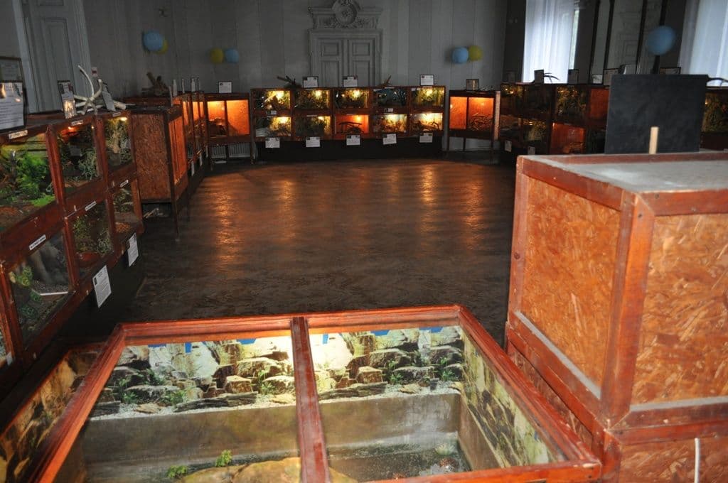 Expoziţie cu reptile vii Dorohoi (11)