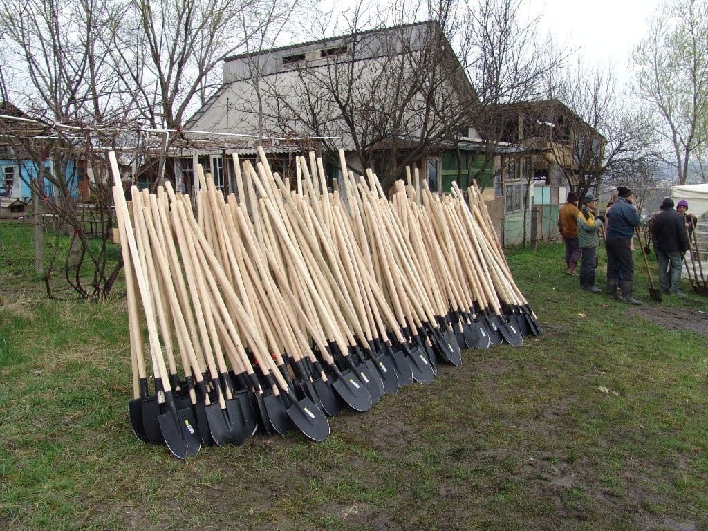 Dorohoi Romania Prinde Radacini (1)
