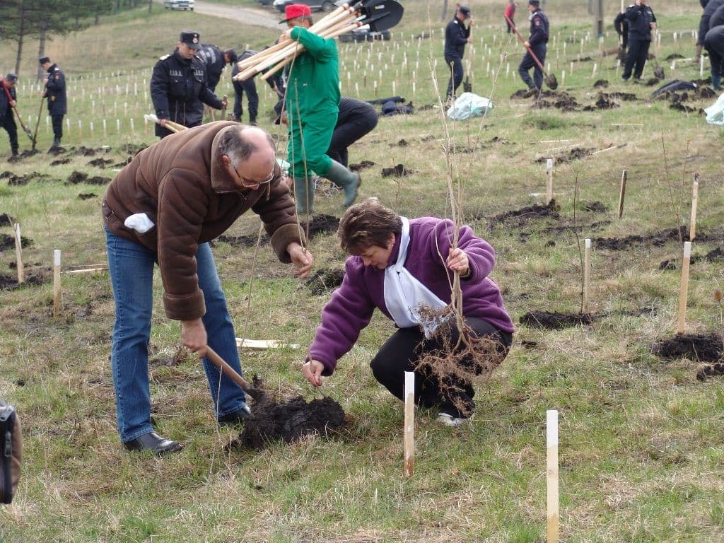 Dorohoi Romania Prinde Radacini (5)