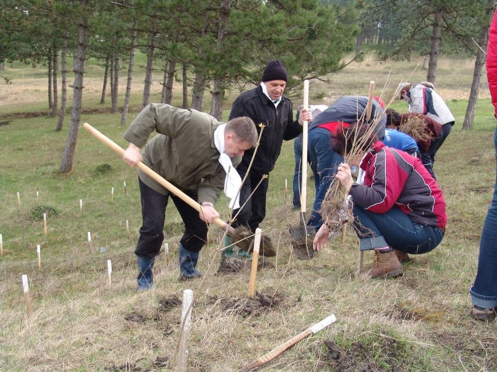 Dorohoi Romania Prinde Radacini (8)