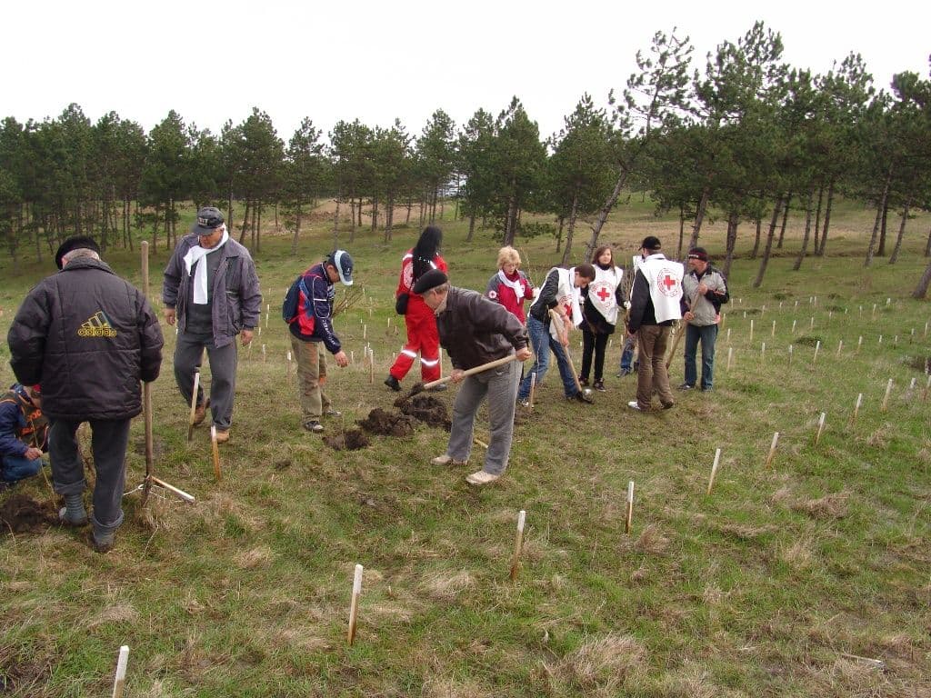 Dorohoi Romania Prinde Radacini (9)