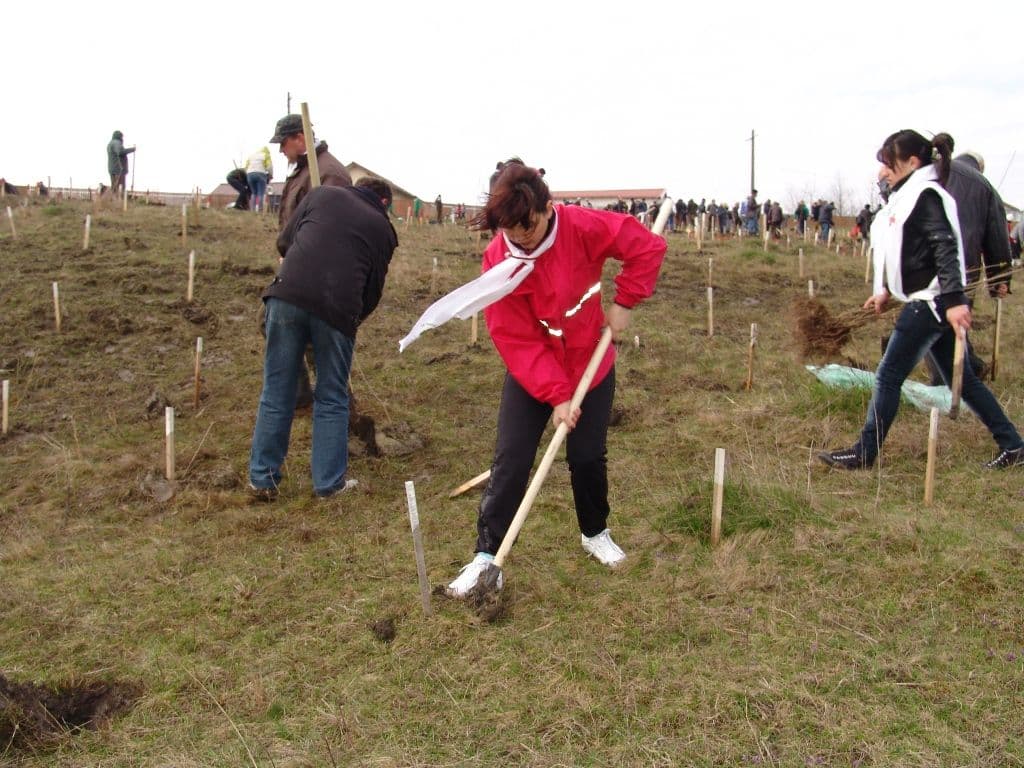 Dorohoi Romania Prinde Radacini (10)