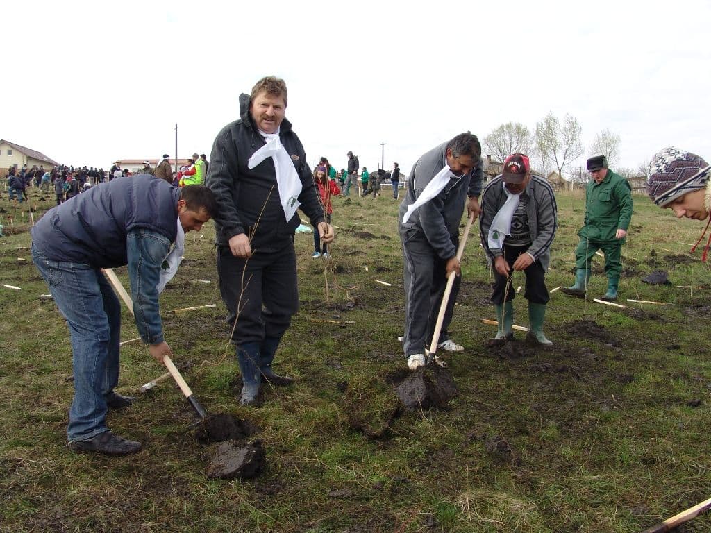 Dorohoi Romania Prinde Radacini (12)