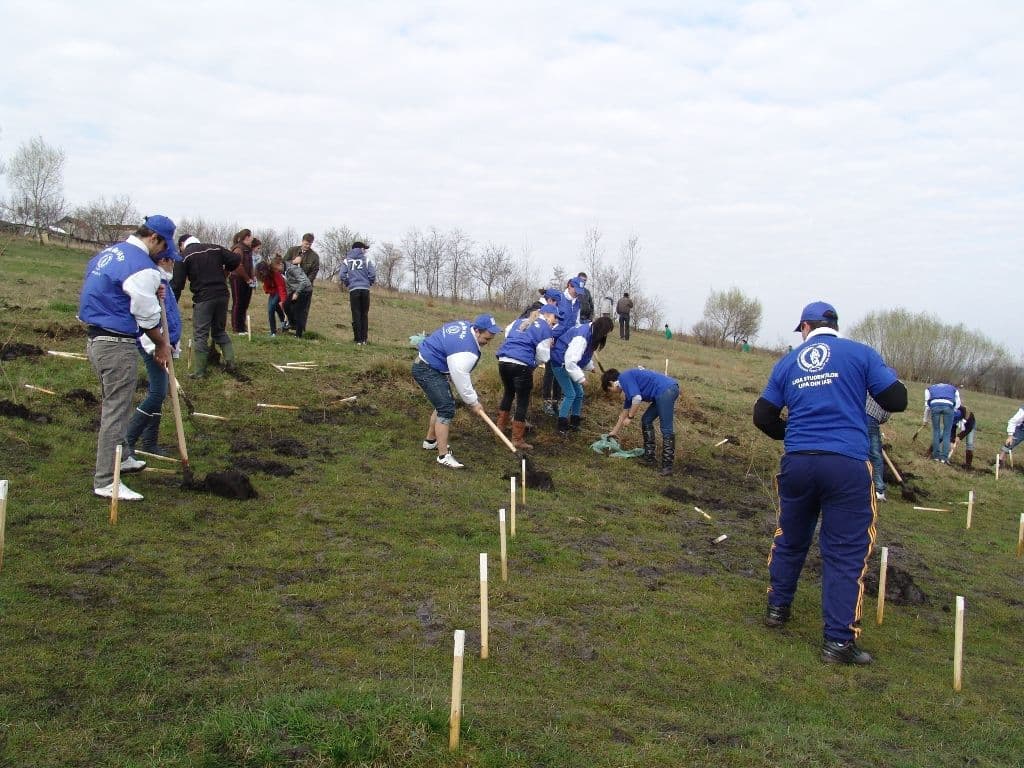 Dorohoi Romania Prinde Radacini (13)