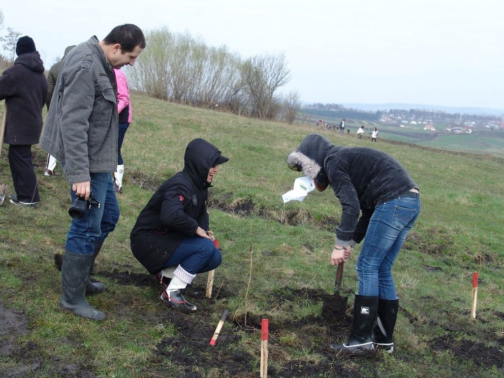 Dorohoi Romania Prinde Radacini (14)