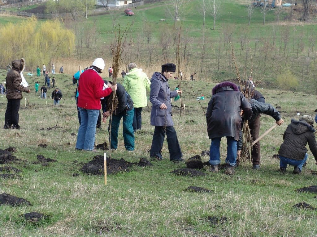 Dorohoi Romania Prinde Radacini (15)