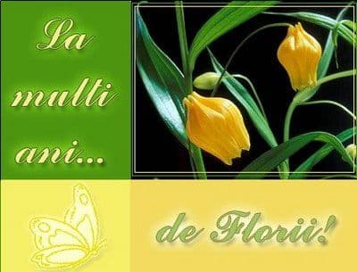 Florii_5