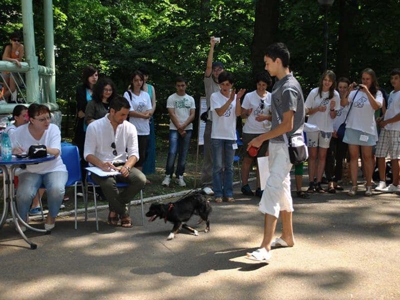 ADOR_ADOPTII_CATEI019