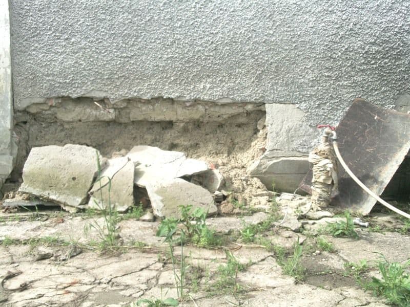 Cristina Dumbrăveanu1