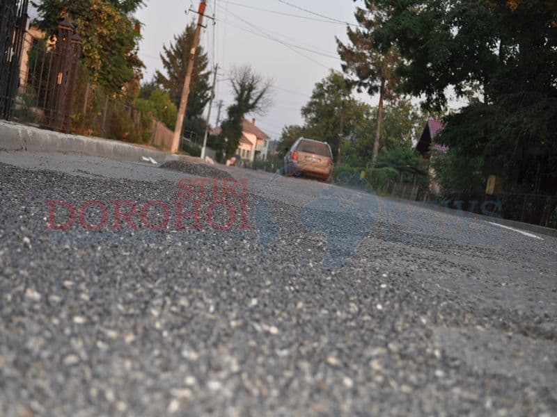 Seminte pe strada Stefan cel Mare din Dorohoi03