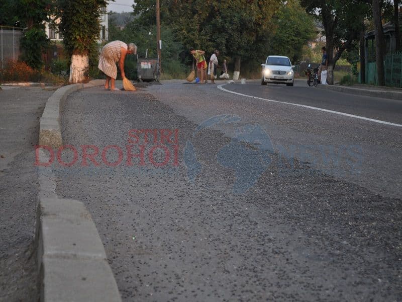 Seminte pe strada Stefan cel Mare din Dorohoi04